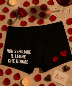 Boxer divertenti non svegliare il leone che dorme